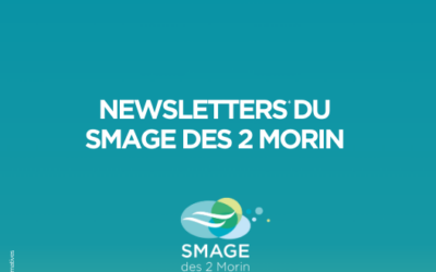 Lancement de nos newsletters – Lettres informatives