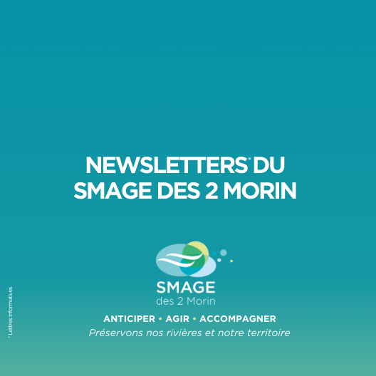 Lancement de nos newsletters – Lettres informatives