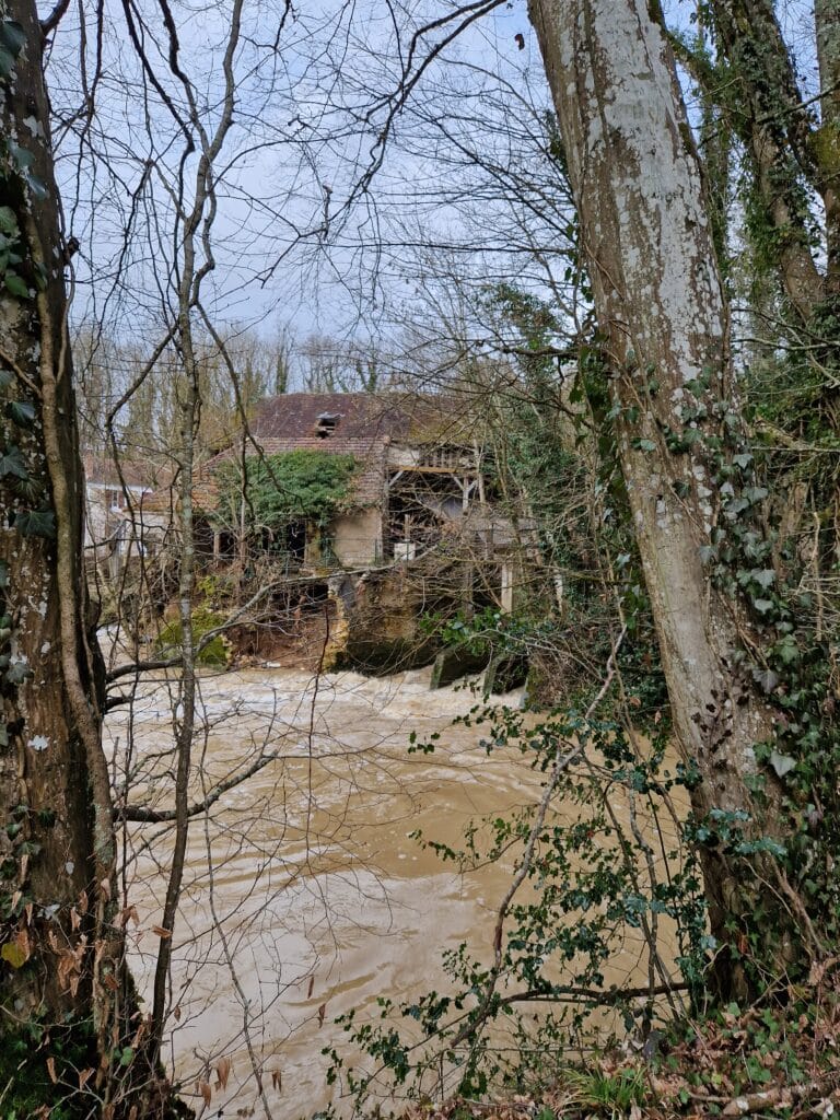 Marais de Jouy sur Morin