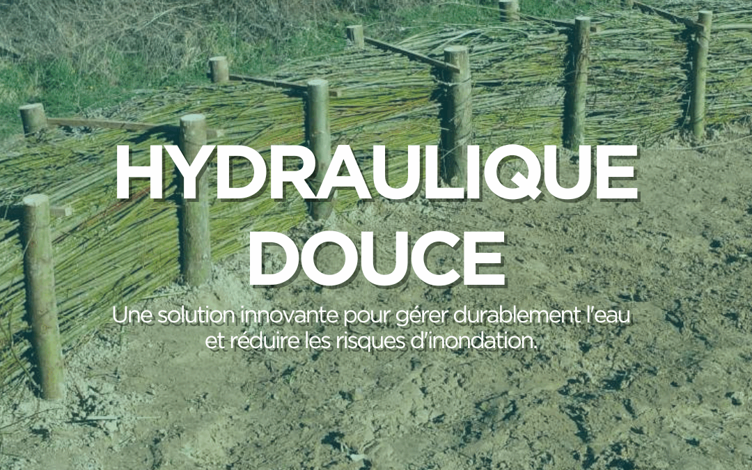 L&rsquo;hydraulique douce, une solution innovante pour gérer durablement l&rsquo;eau et réduire les risques d&rsquo;inondation