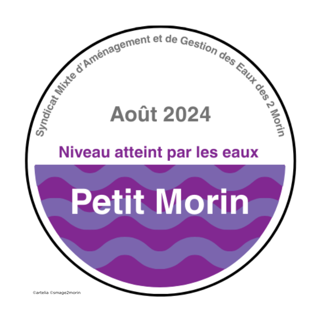 newsletter en tête smage 2 morin