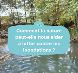Les Solutions Fondées sur la Nature (SFN) : une réponse durable contre les inondations