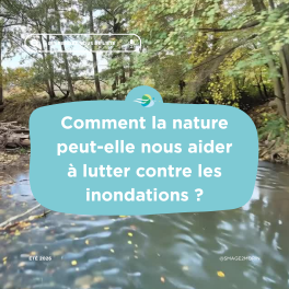 Les Solutions Fondées sur la Nature (SFN) : une réponse durable contre les inondations